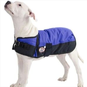 SMALL 13.5” LONG Derby Originals 600D Waterproof Dog Blanket Royal Blue